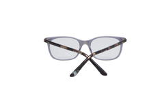DIOR MONTAIGNE TRANSPARENT & TORTOISE