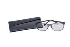 DIOR MONTAIGNE TRANSPARENT & TORTOISE