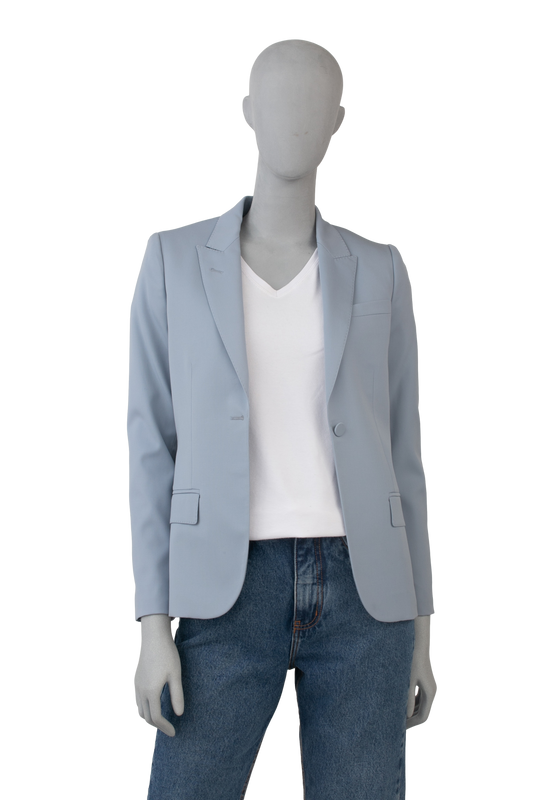 DESAPEGO ANA PAULA SIEBERT JUSTUS  GUCCI BLAZER LIGHT BLUE