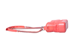 CHANEL MINI GABRIELLE CORAL