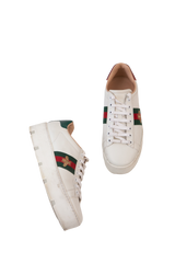 GUCCI SNEAKER PLATAFORMA WHITE BEE